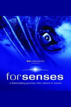 Forsenses - смотреть онлайн